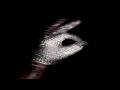 *FREE* (SICK) " National Treasures " | (Drake Sample) | Jersey Trap Beat | Free Type Beat 2026 ⁴ᴷ