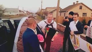 Виктор Заянчковский Встреча молодых Ведущий на свадьбу в Ивацевичах Виктор Заянчковский Встреча молодых Ведущий на свадьбу в Ивацевичах