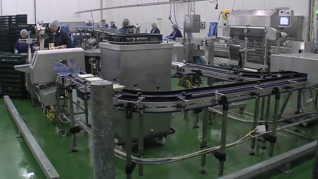Easy conveyors en industria de alimentos
