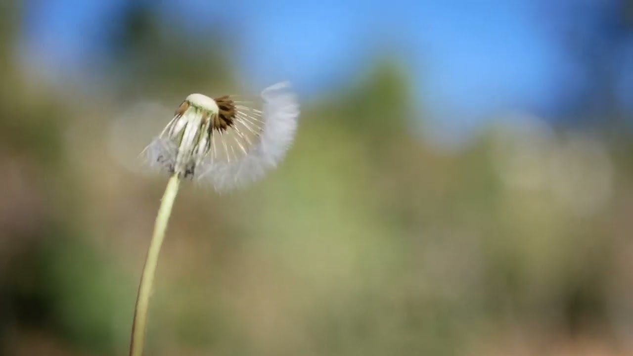 Northern Bolivia - The Social Sabbatical