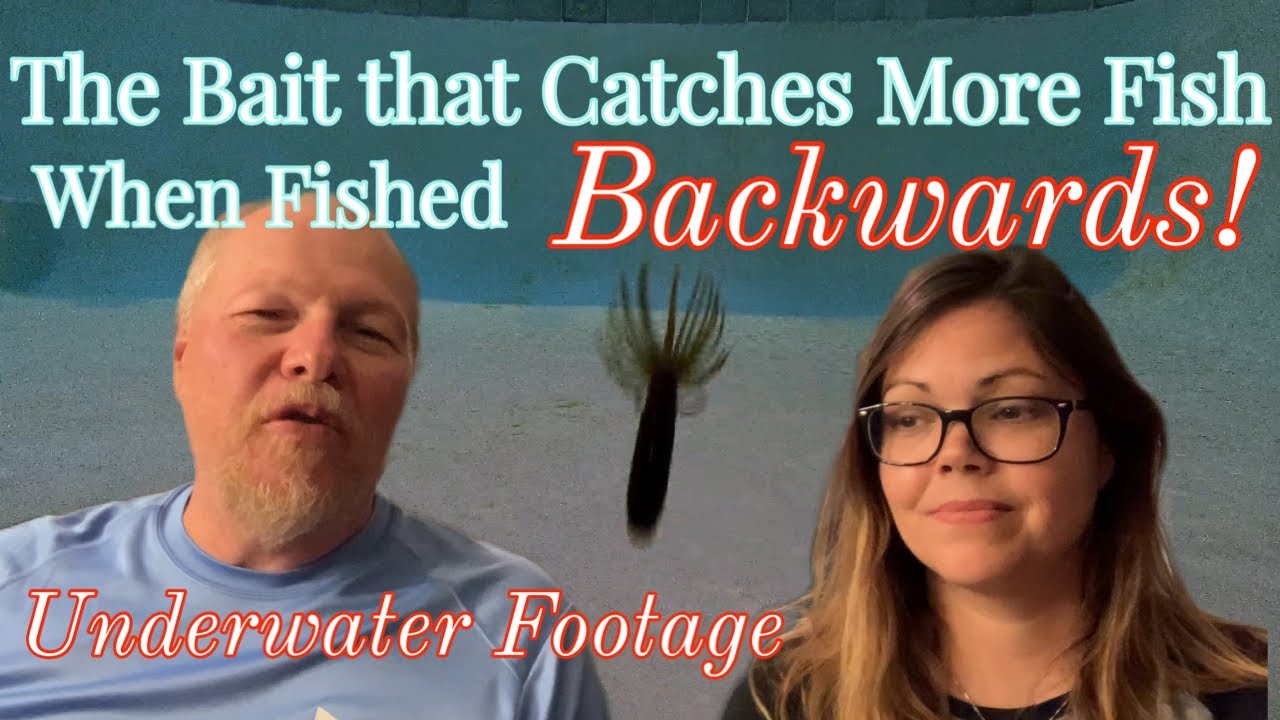 The Fat Ika: The Bait that Catches More Fish When Fished Backwards ...