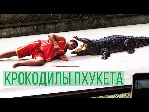 ЭКСКУРСИИ В ТАЙЛАНДЕ | ЭКСКУРСИИ НА ПХУКЕТЕ | КРОКОДИЛЫ И ЗМЕИНАЯ ФЕРМА