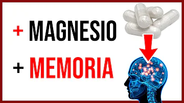 ¿Repara el magnesio el cerebro?
