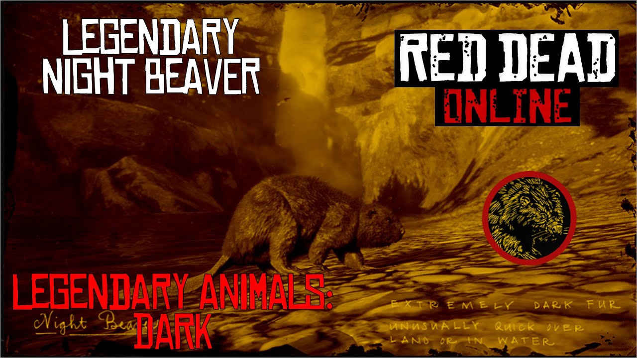 RDR2 Legendary Night Beaver FULL Guide YouTube