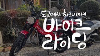 노랗게 타오르는 에노시마 해안가 라이딩 | 도쿄에서 하코네 온천까지 렌탈 바이크로 신나게 달려봤습니다.