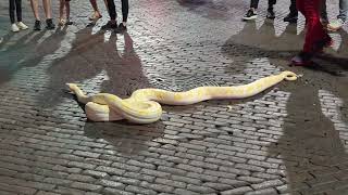 Ebaumsworld In Real Life