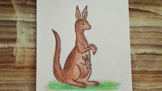 Canguro Drawing / Kangaroo Drawing / Kanguru çizimi / Kanguru resmi