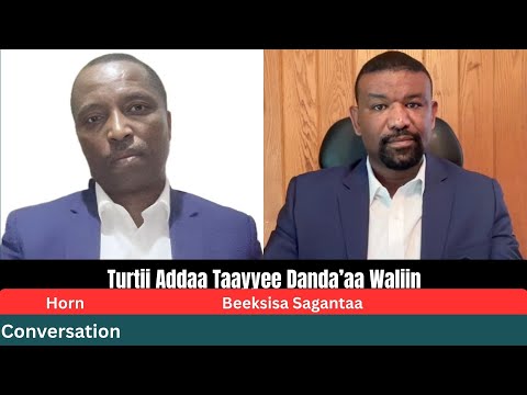 Beeksisa Turtii Addaa Taayyee Danda Aa Waliin