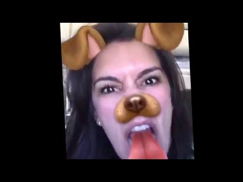 Playing With Snapchat On The Plane Dog Social App Youtube