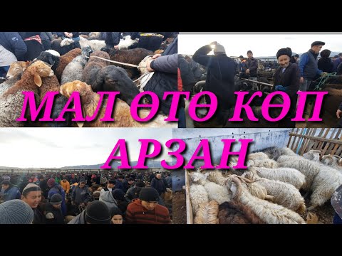 Video: Жай мезгилинде Россиядагы майрамдар: Байкалдагы Олхон аралы
