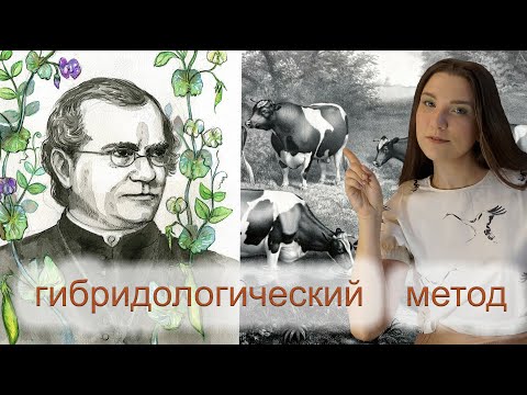 Урок 12 | Гибридологический метод.