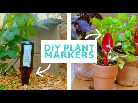 Make DIY Plant Markers...From Your Trash!