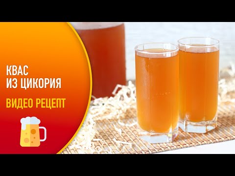 🍺 Квас из цикория — видео рецепт. Как сделать цикориевый квас в домашних условиях?