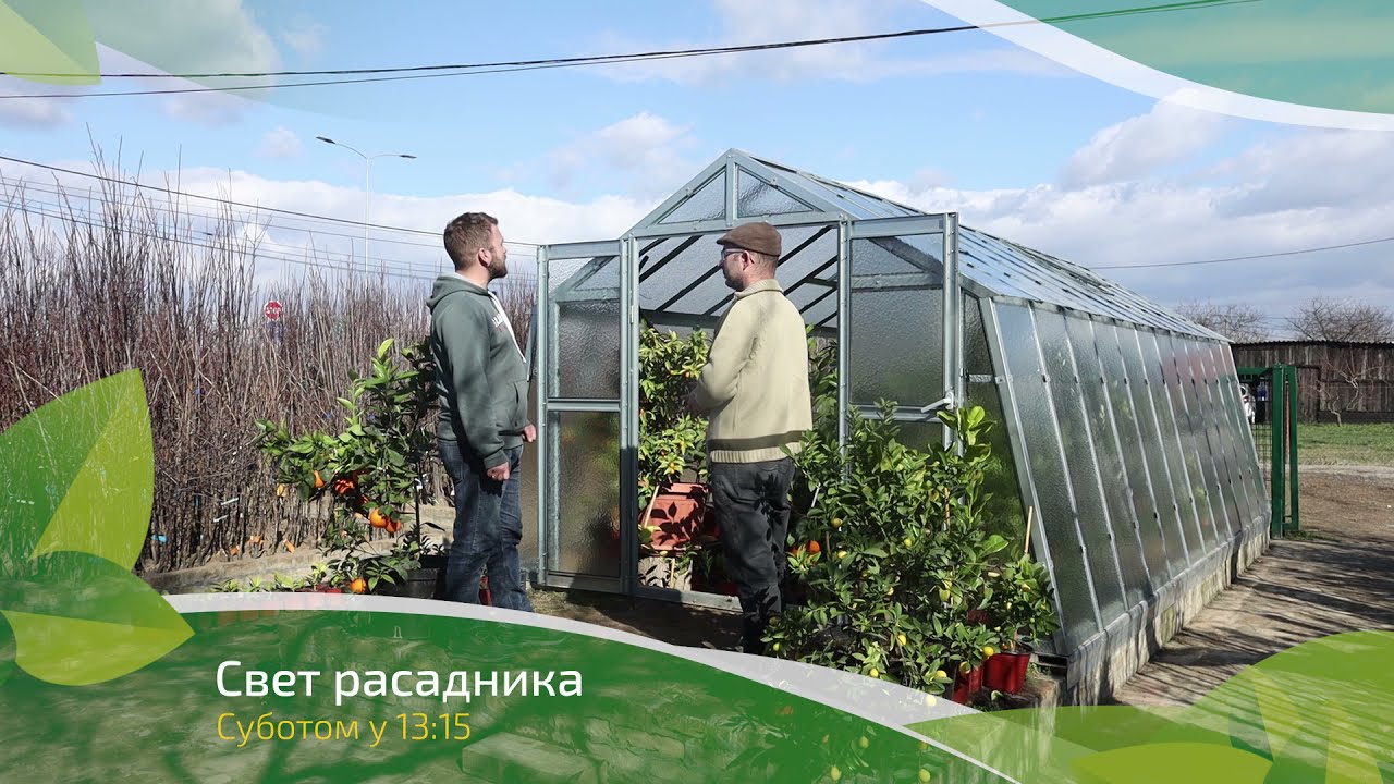 Svet rasadnika ep. 2 27.03.2021. NAJAVA