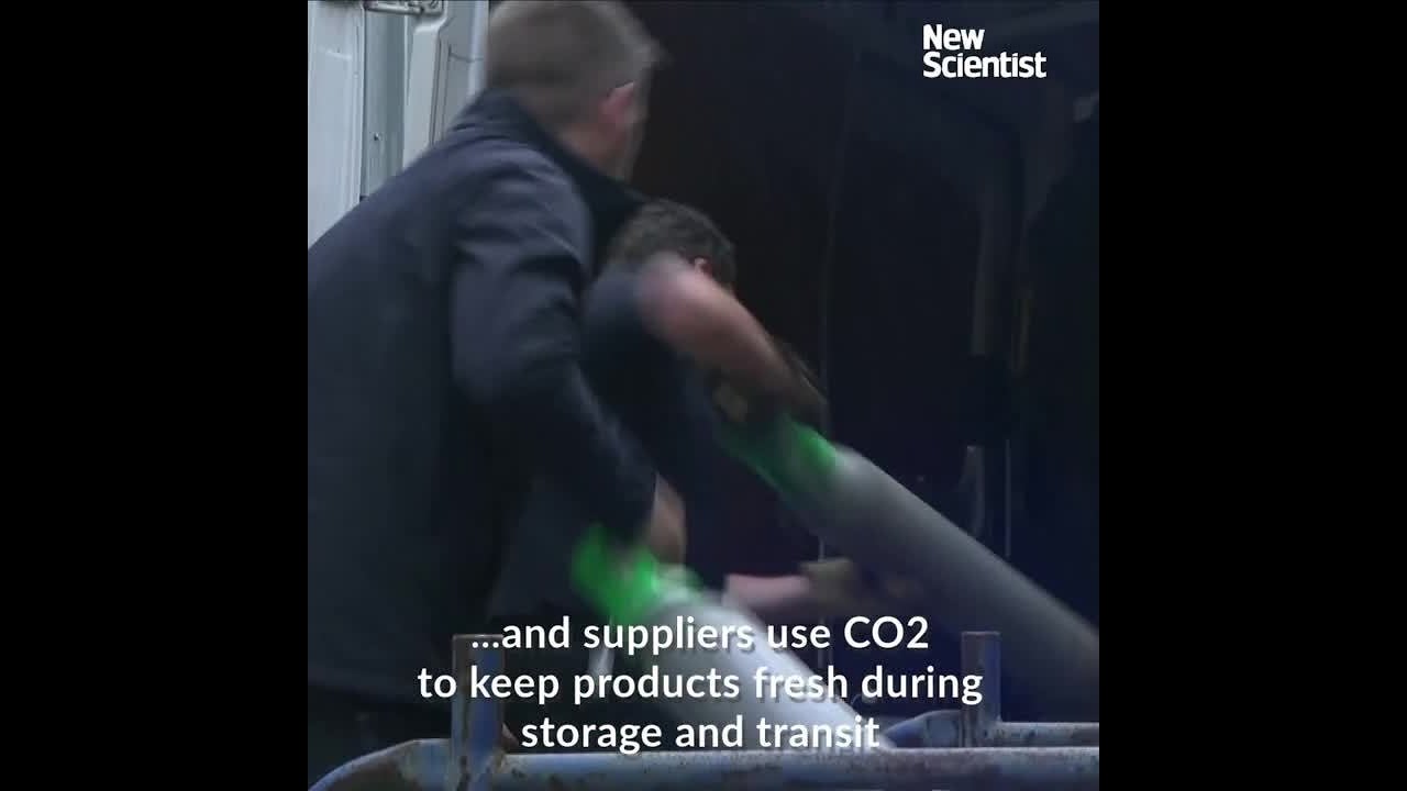 science jobs london CO2 shortage threatens beer supply