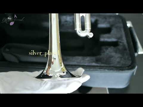 Trumpet Silver Plating Cost