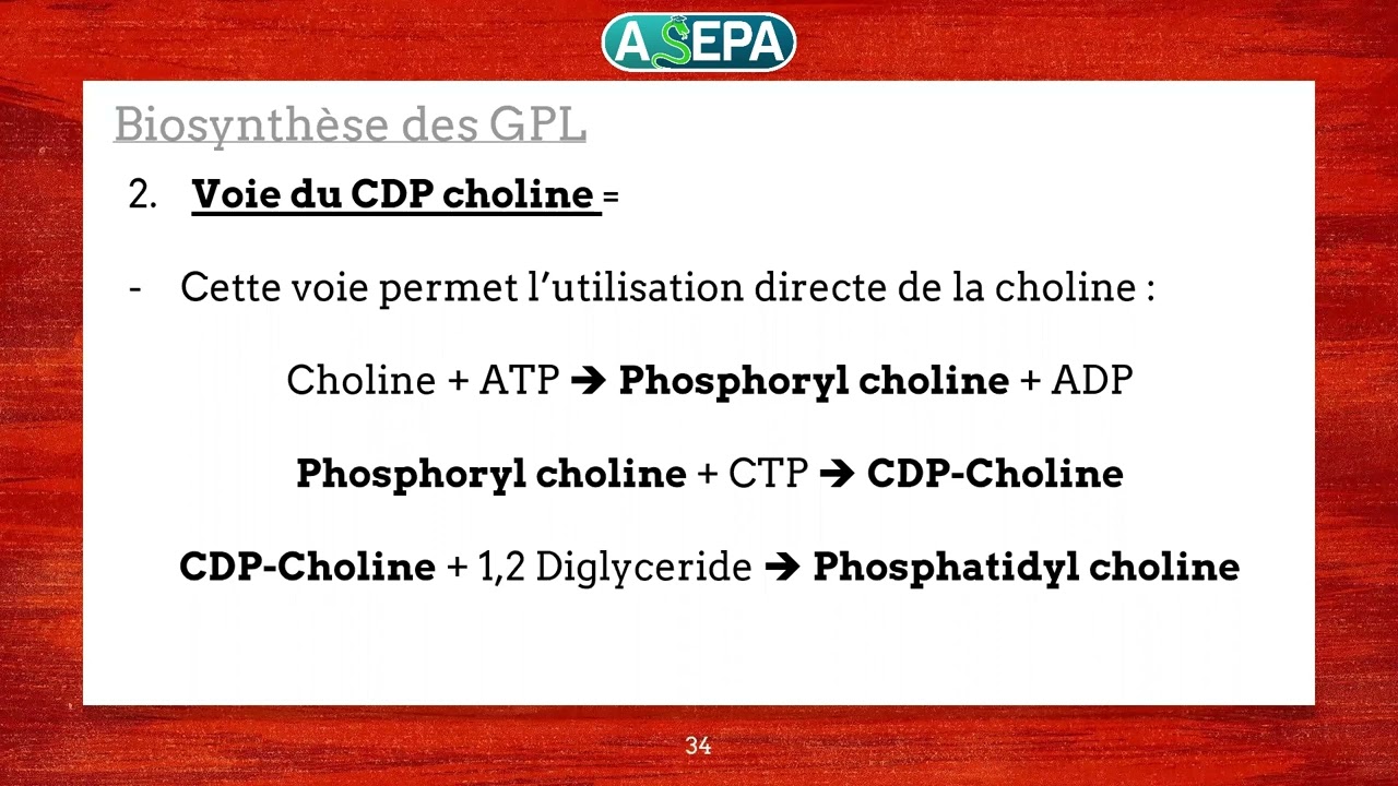 STUDY WITH ASEPA : Lipides (2éme année) Partie 2