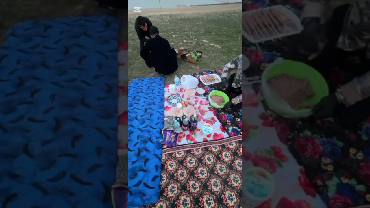 Doʻstlarim bilan chorvoqqa piknik qildik😁