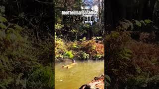 Kerosene Creek New Zealand