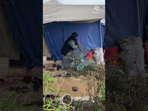 معاناة كل شتاء في الخيام و انعدام مواد التدفئة خيرك دفا17    