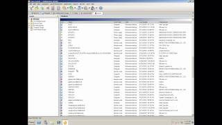 Prism Asset Manager:  Assets