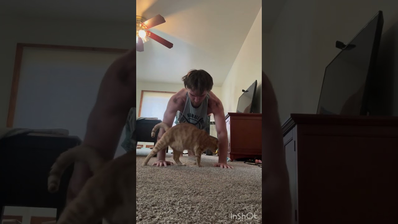 Push Ups with Car… 