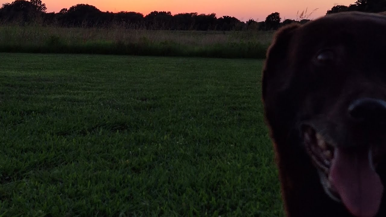 Drink Deep From Your Heart.. (Tribute RIP Buddy 🙏🪦 Goodbye sidekick ...