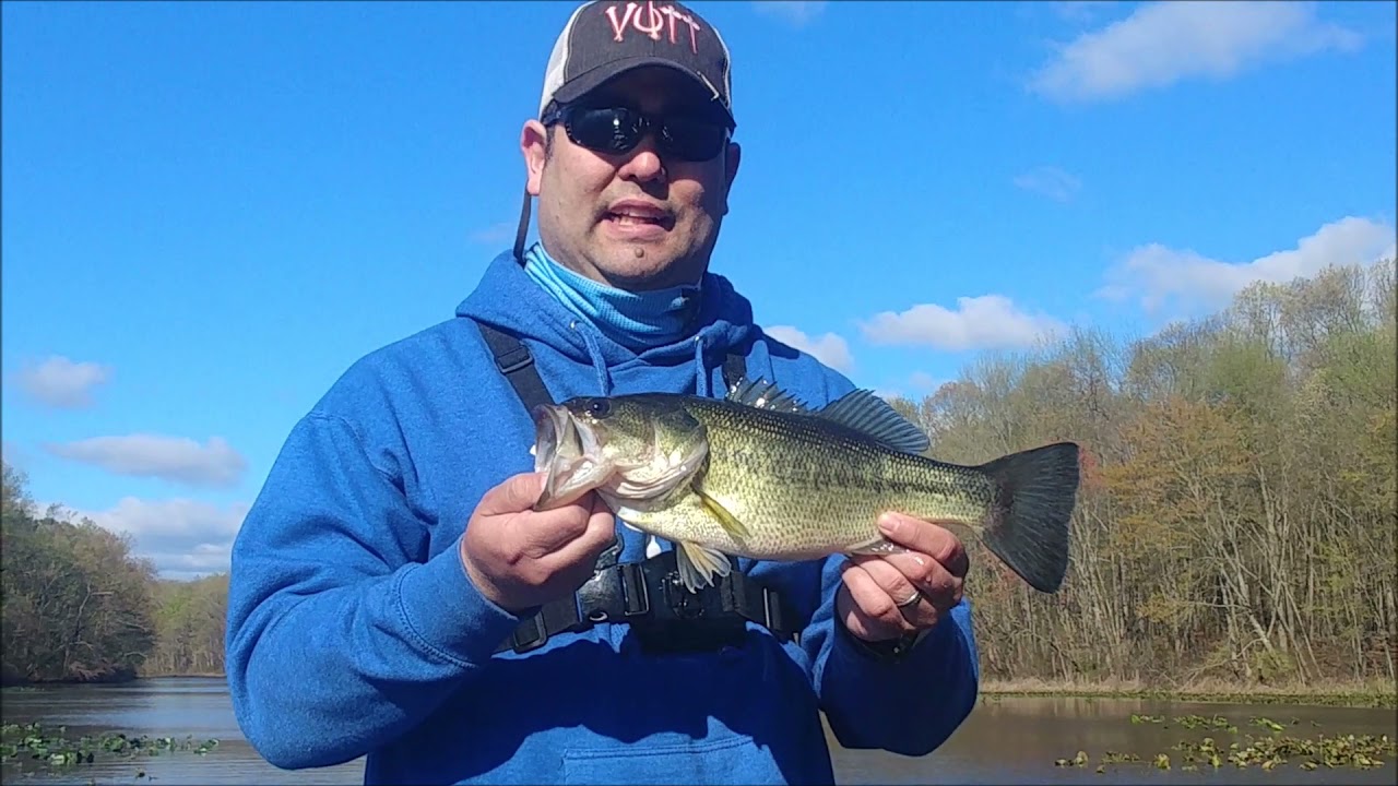 The Delaware Invasion - Volume 2: Becks Pond