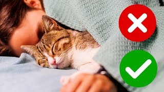 IF YOU SLEEP WITH YOUR CAT, YOU NEED TO KNOW THIS! 🔥