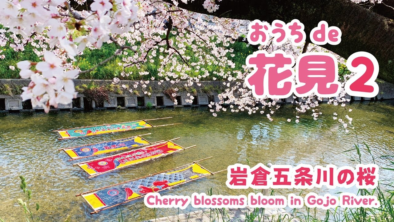 岩倉市公式 おうちde花見２ Youtube