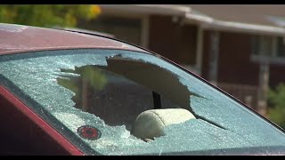 18 vehicles in Roy neighborhood vandalized