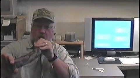 learning your Dominator elk call  part#2