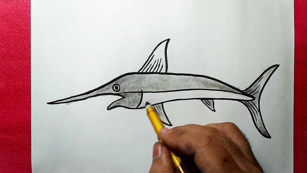 How to Draw a Sword Fish || An Incredible Easy Method || YZArts - YouTube