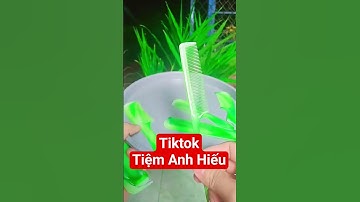 Lược chải tóc , lược chải đầu , 10 cây 17k #tiemanhhieu #tiktok