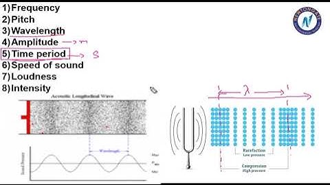 Sound 🔊 | ICSE CLASS 7 Physics | Part - 2/4 | NewtonGATE