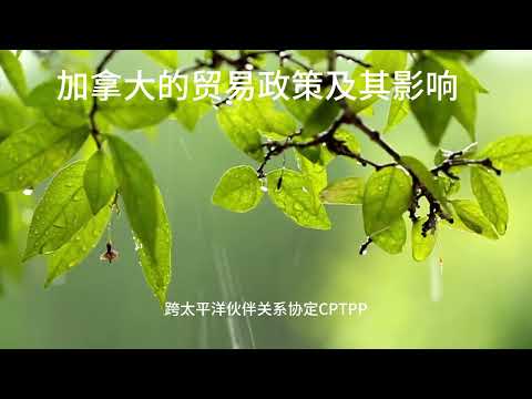 加拿大的贸易政策及其影响