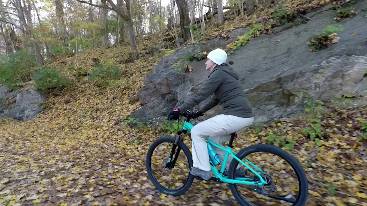 Tweetsie Trail Testimony Vlog