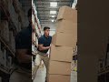 Making clumsy attempt to carry boxes of things