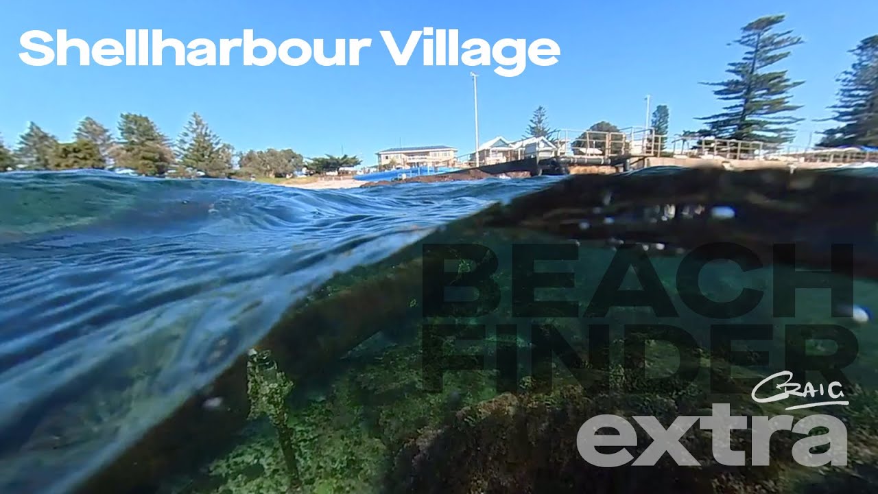 Shellharbour Village