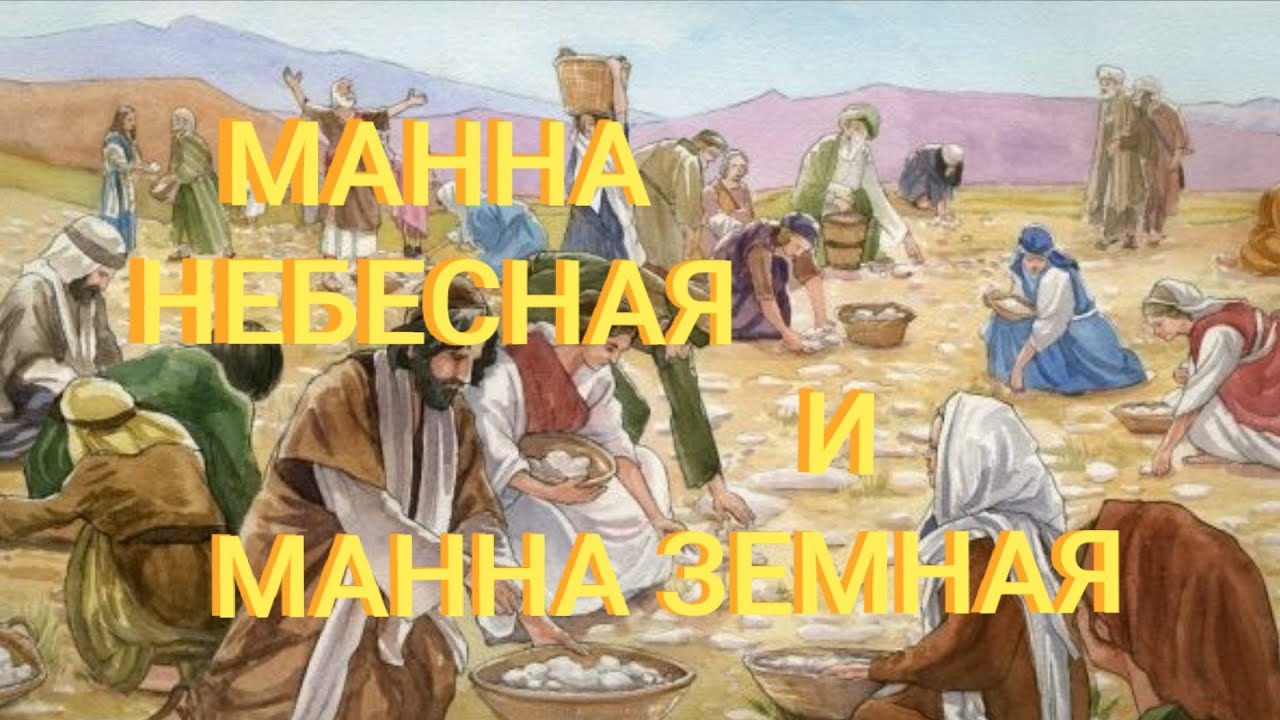 МАННА НЕБЕСНАЯ И МАННА ЗЕМНАЯ - YouTube