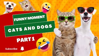 Funniest Animals Videos😂 Funny Cats😹 and Dogs🐶 Videos 2023-Cuteness Reloaded