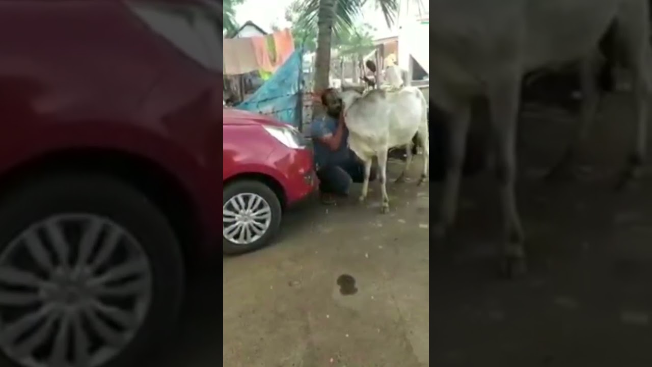 Brother's of Brother ❤️❤️❤️ 