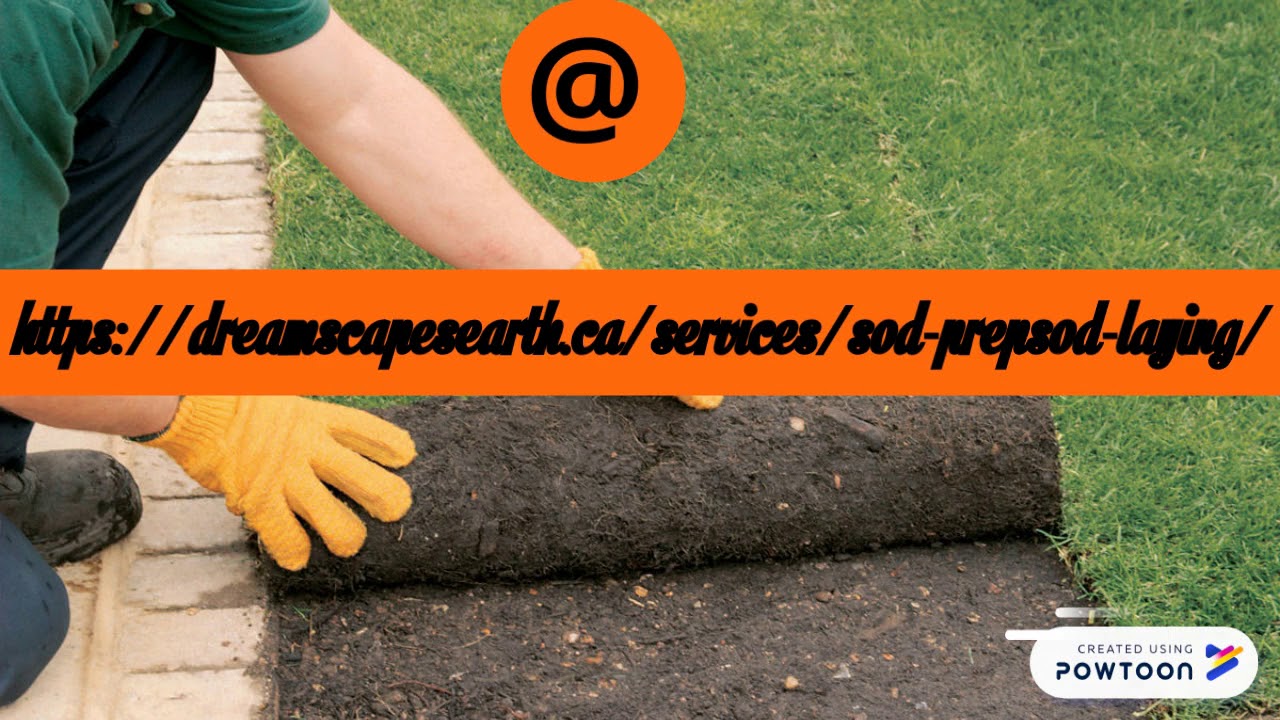 Sod Prep/Sod laying