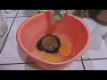 Produk CupCake Tempe Kurma