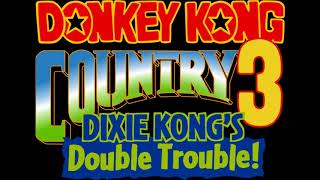 Crystal Chasm - Donkey Kong Country 3: Dixie Kong's Double Trouble! OST