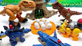Who&#39;s Dinosaur Eggs?| Dino Egg Hatching With Jurassic World Dinosaur Toys
