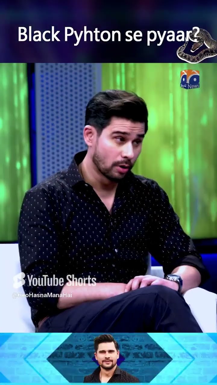 Black Python Se Pyaar - #areejchaudhary #tabishhashmishow #hasnamanahai #shorts
