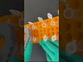Lab Life #dnasequencing #science #biotechnology