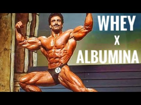 WHEY X ALBUMINA : QUEM GANHA ? (leia Descrição Video)
