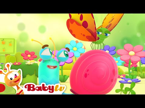Sommerfugl, Larve & Kokong 🦋 | Snegleturen @BabyTVNOR